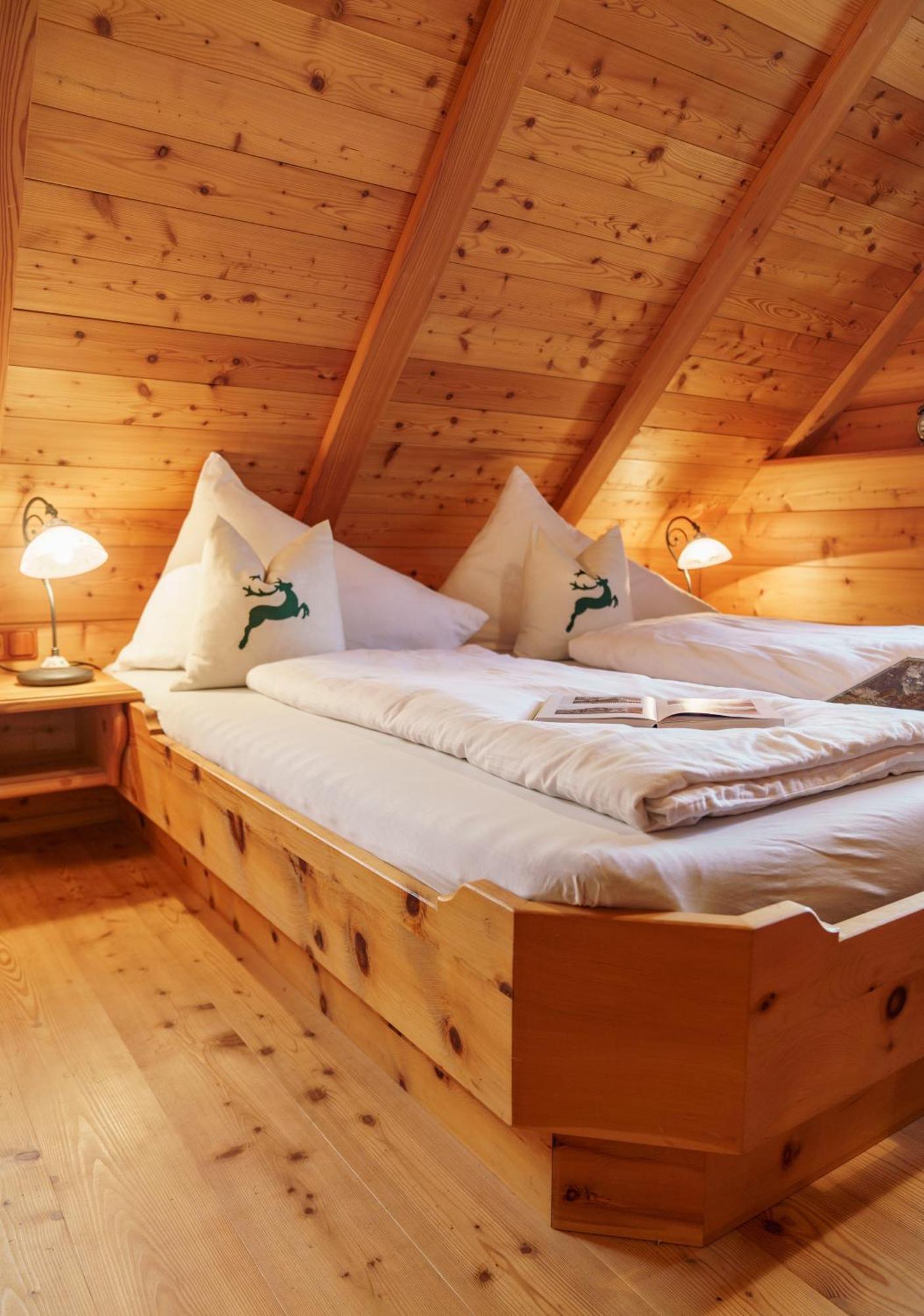 Brandhof - Chalet Am Berg Ramsau am Dachstein Extérieur photo