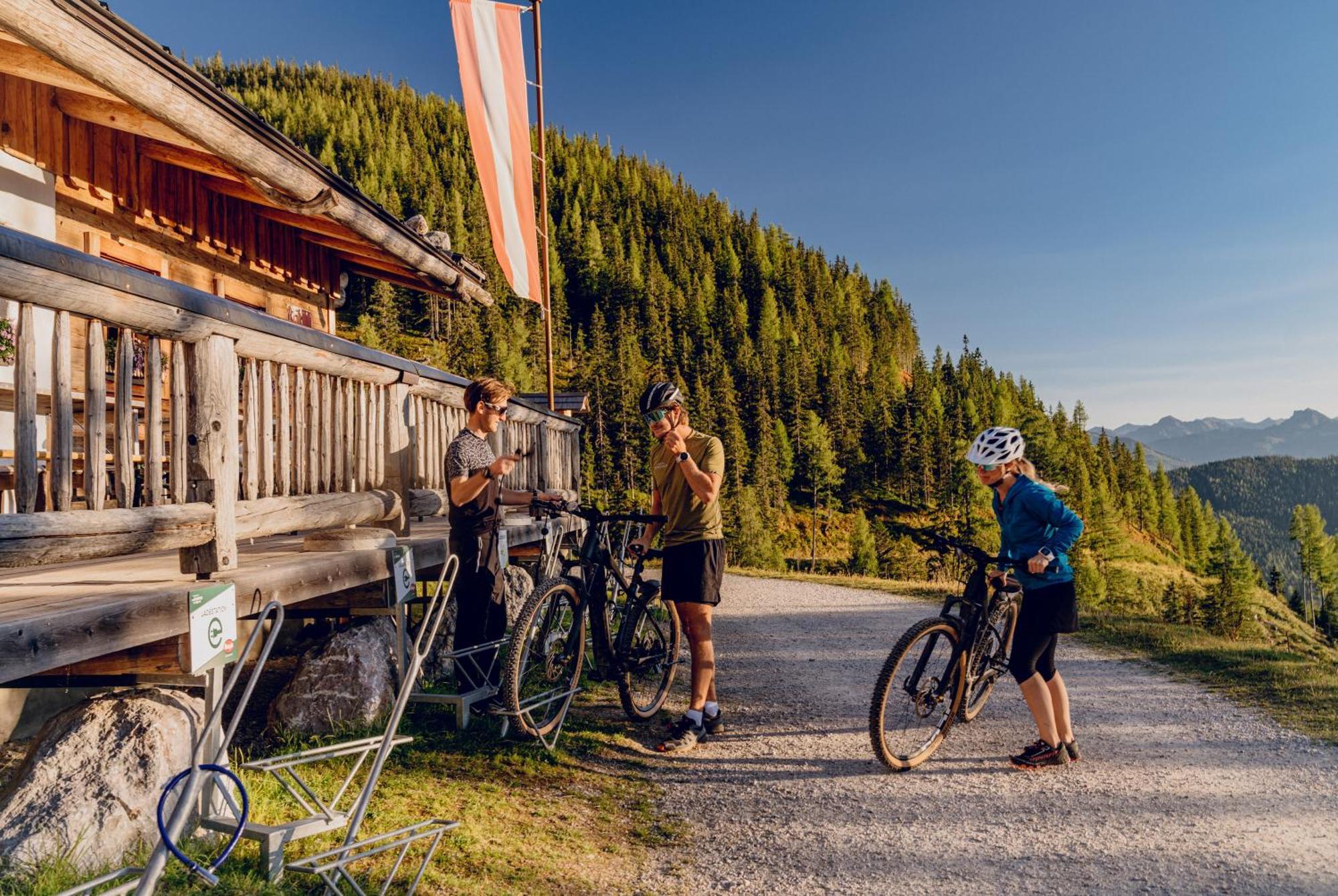 Brandhof - Chalet Am Berg Ramsau am Dachstein Extérieur photo